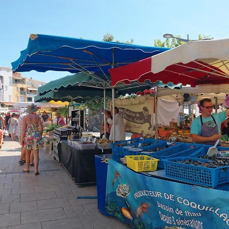 Apartment La Palme D'or-12 By Interhome Agde