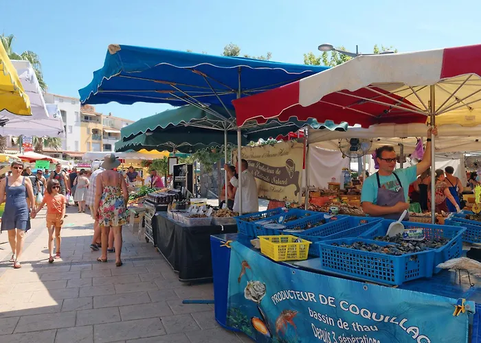 Appartamento La Palme D'or-12 By Interhome Agde